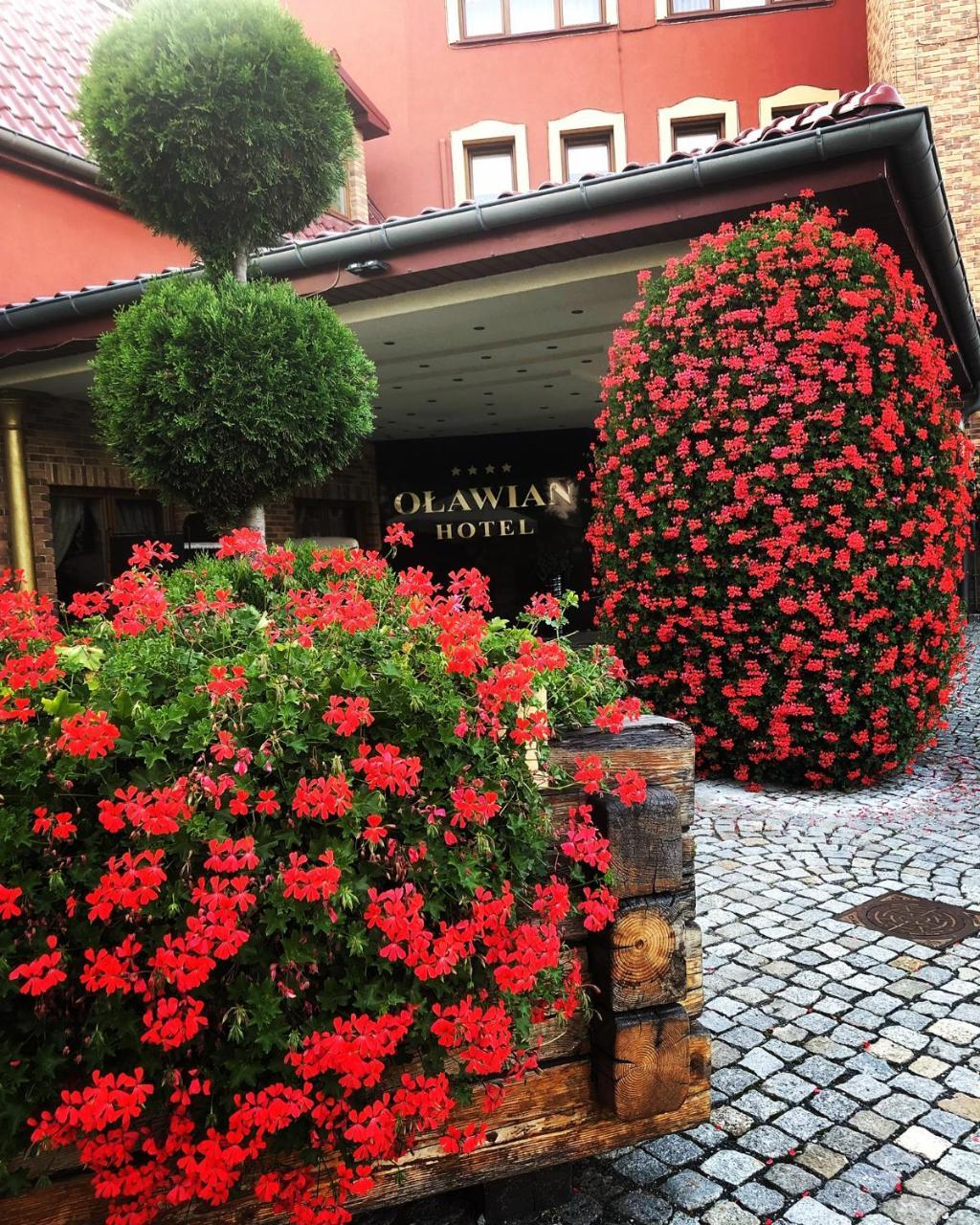 Olawian Hotel Oława Exterior foto